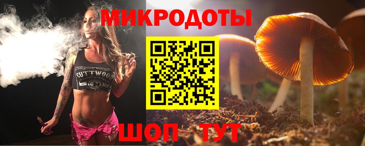 Саров  Псилоцибиновые грибы мицелий  Вход с VPN  Галлюциногенные грибы Psilocybine cubensis 